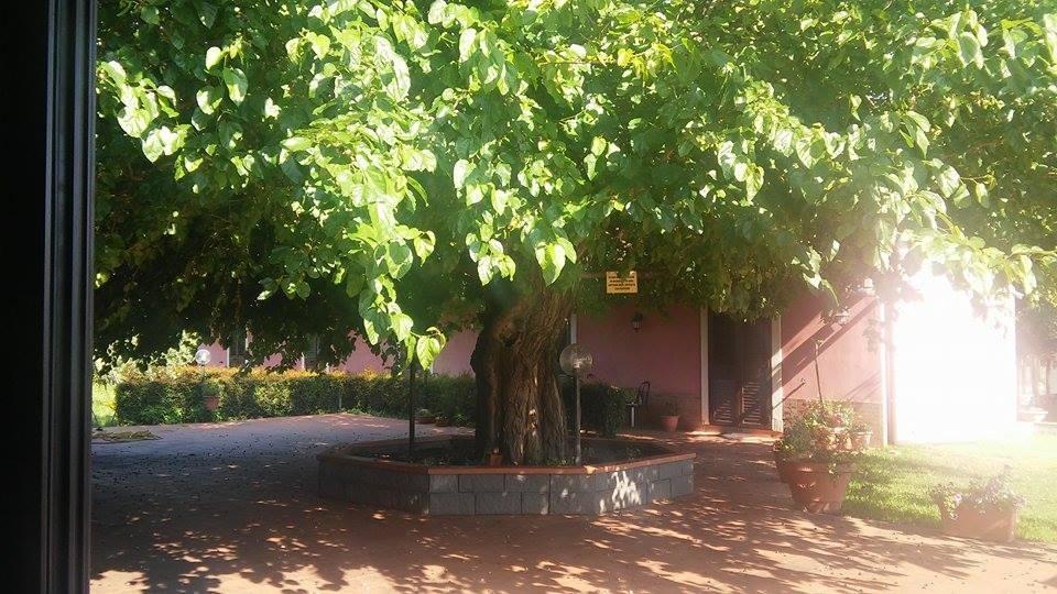 Agriturismo Il Pozzo Antico Mascali Eksteriør billede